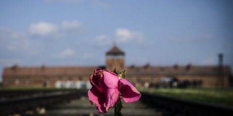 Giornata della Shoah e dell'Olocausto, per non dimenticare e combattere l'antisemitismo