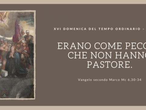 Vangelo e Meditazione della XVI Domenica del Tempo Ordinario Anno B