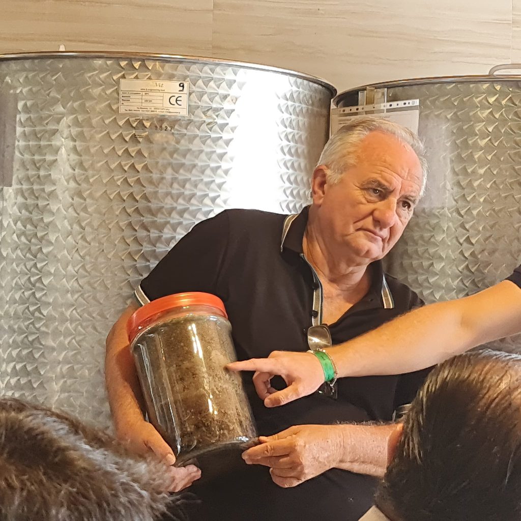 Visita all'Azienda vinicola Vitis Aurunca dall’Amira Napoli Campania