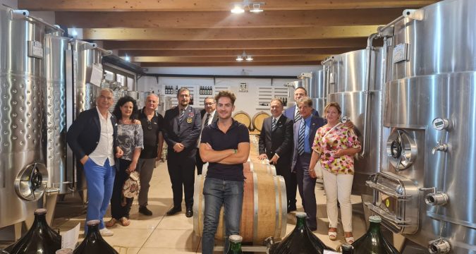 Visita Azienda Vitis Aurunca dall’Amira Napoli Campania