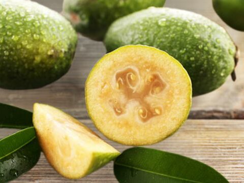 Festa della Feijoa a Sperone (AV): scopri i sapori unici di un frutto raro