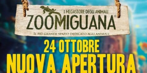 Zoomiguana apre un nuovo Megastore al Vomero: promozioni esclusive per i primi Clienti