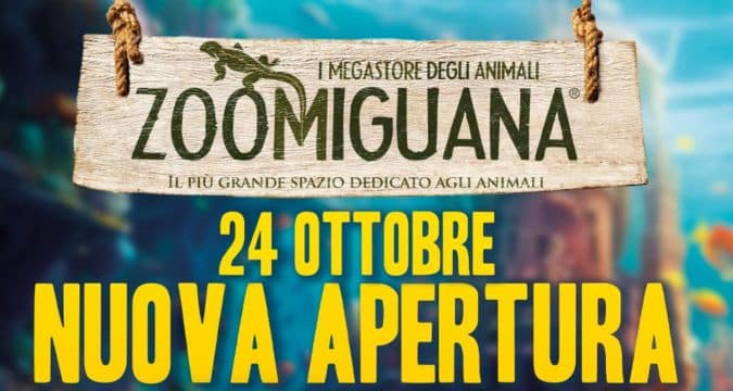 Zoomiguana apre un nuovo Megastore al Vomero: promozioni esclusive per i primi Clienti