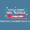 Vivi la Magia del Natale a Praia a Mare: Programma degli Eventi 2024-2025